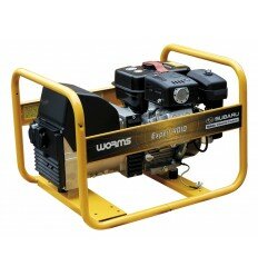 Groupe électrogène Expert 4010 X Worms
