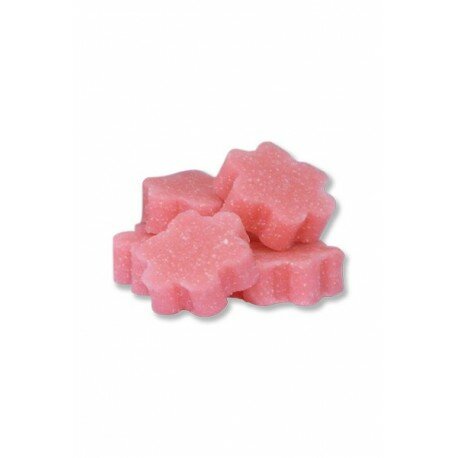 PASTILLE URINOIR BOITE 40 PIECES