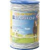 Blanfor