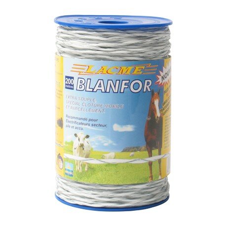 Blanfor