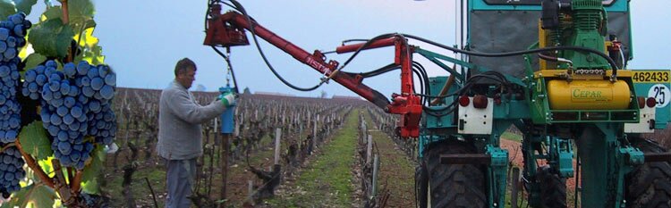 enfonce pieu vignes enfonce pieu vignes