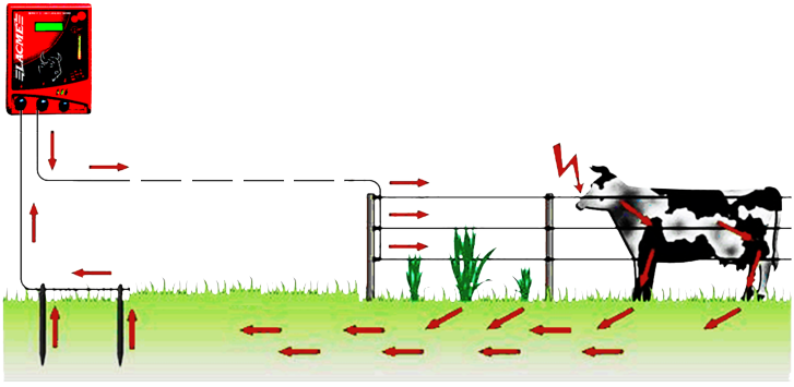 cloture complete cloture complete